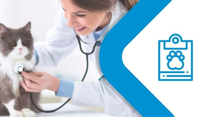 Atencion Profesional!